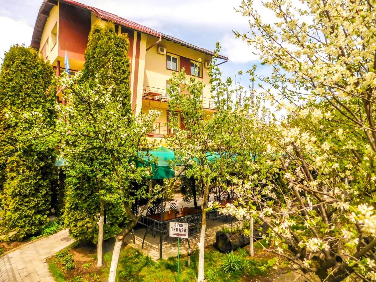 Vila Europa Cluj-Napoca Exterior foto